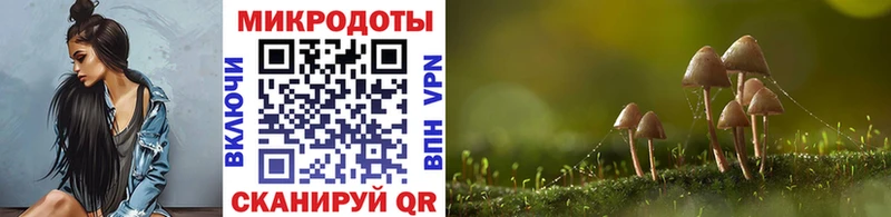 площадка какой сайт  Котовск  Псилоцибиновые грибы Magic Shrooms  блэк спрут зеркало 